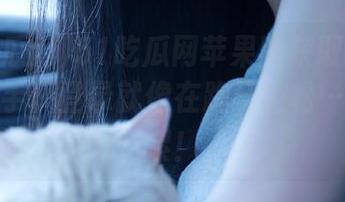 51吃瓜网苹果版获取新瓜的路上，手机登录就像在跑马拉松…越跑越累！