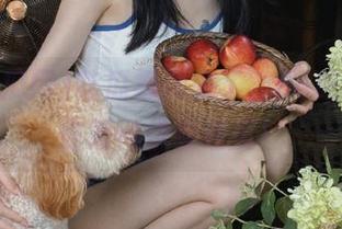 吃瓜视频来了，66吃瓜网教你如何优雅啃瓜！