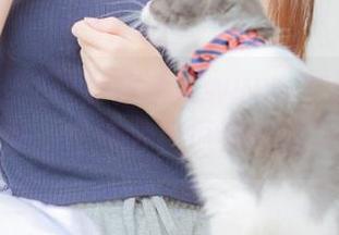 当你踏入www.黑料传送门时，也许会被惊艳到喷饭