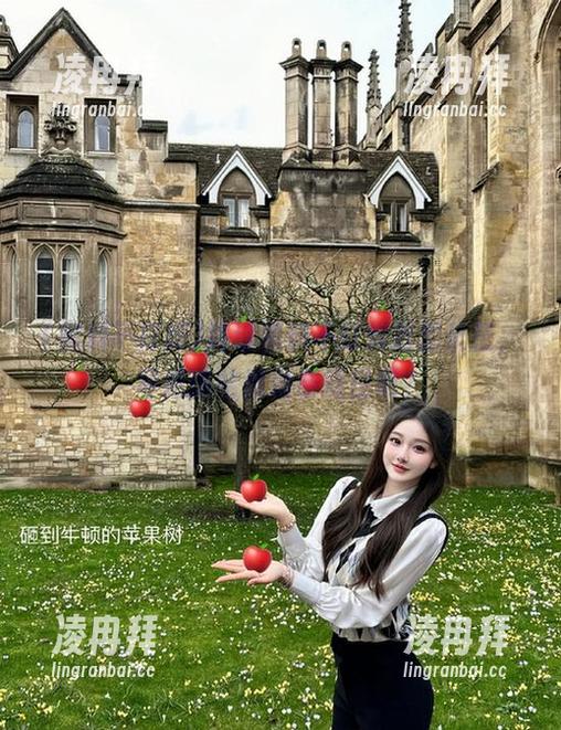 路过黑料不打烊万里长征，导航该给我划条捷径吧？