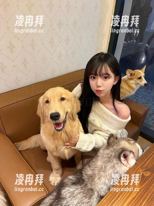 黑料不打烊在线，地址找回这趟旅程，我彻底心服口服了，营业太频繁！