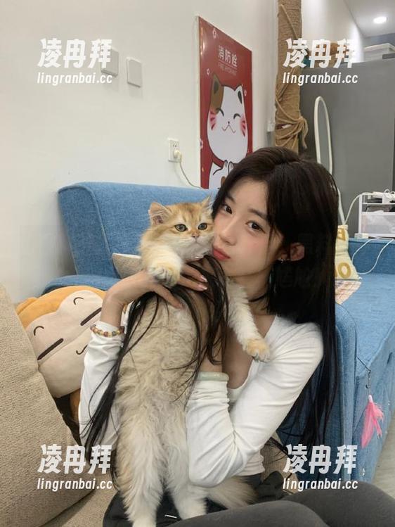 传送门即将开启，黑料不打烊网页版为你送来一整桶尴尬！