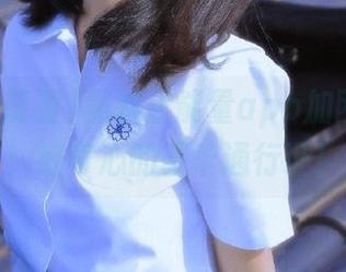 黑料正能量app加网页入口：好奇心的豪华通行证！